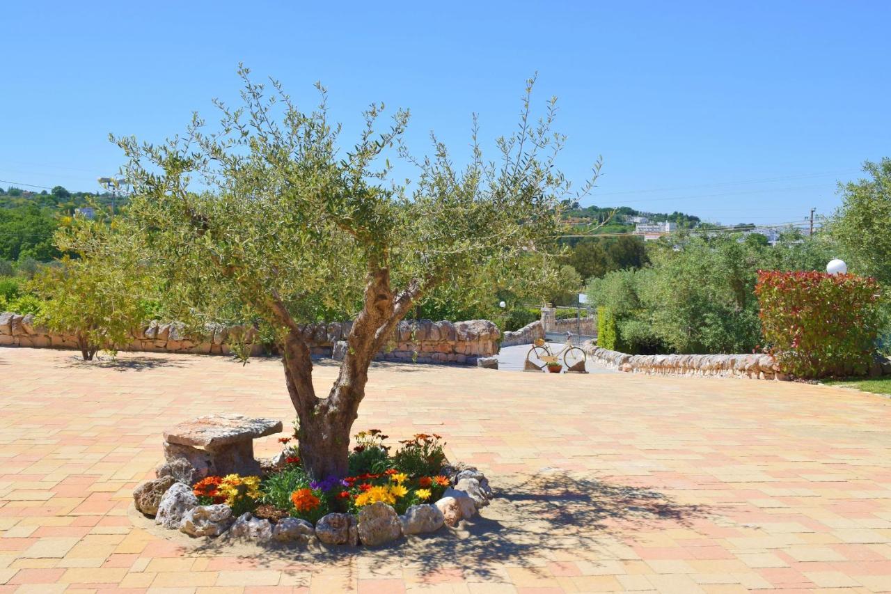 La Rosa Dei Trulli B&B Alberobello Dış mekan fotoğraf
