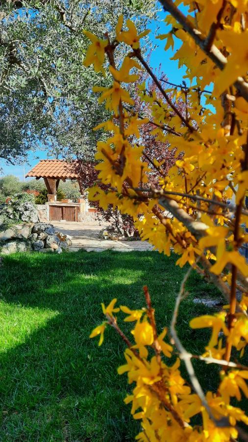 La Rosa Dei Trulli B&B Alberobello Dış mekan fotoğraf