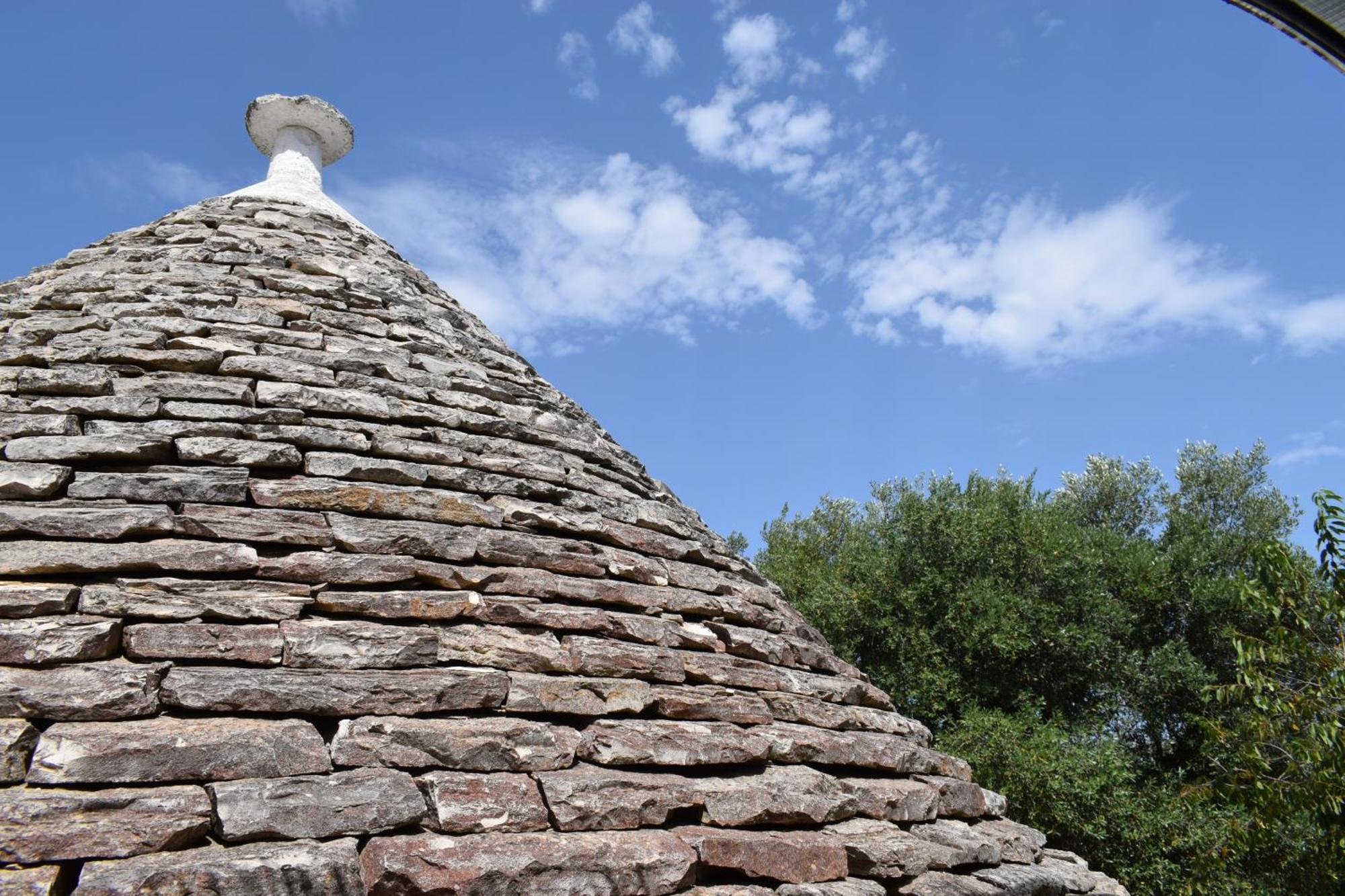 La Rosa Dei Trulli B&B Alberobello Dış mekan fotoğraf