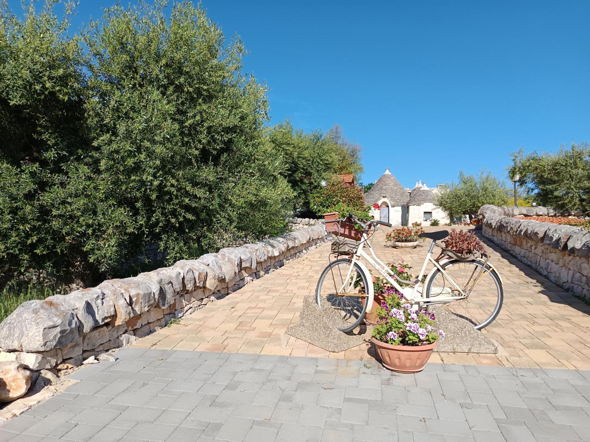 La Rosa Dei Trulli B&B Alberobello Dış mekan fotoğraf