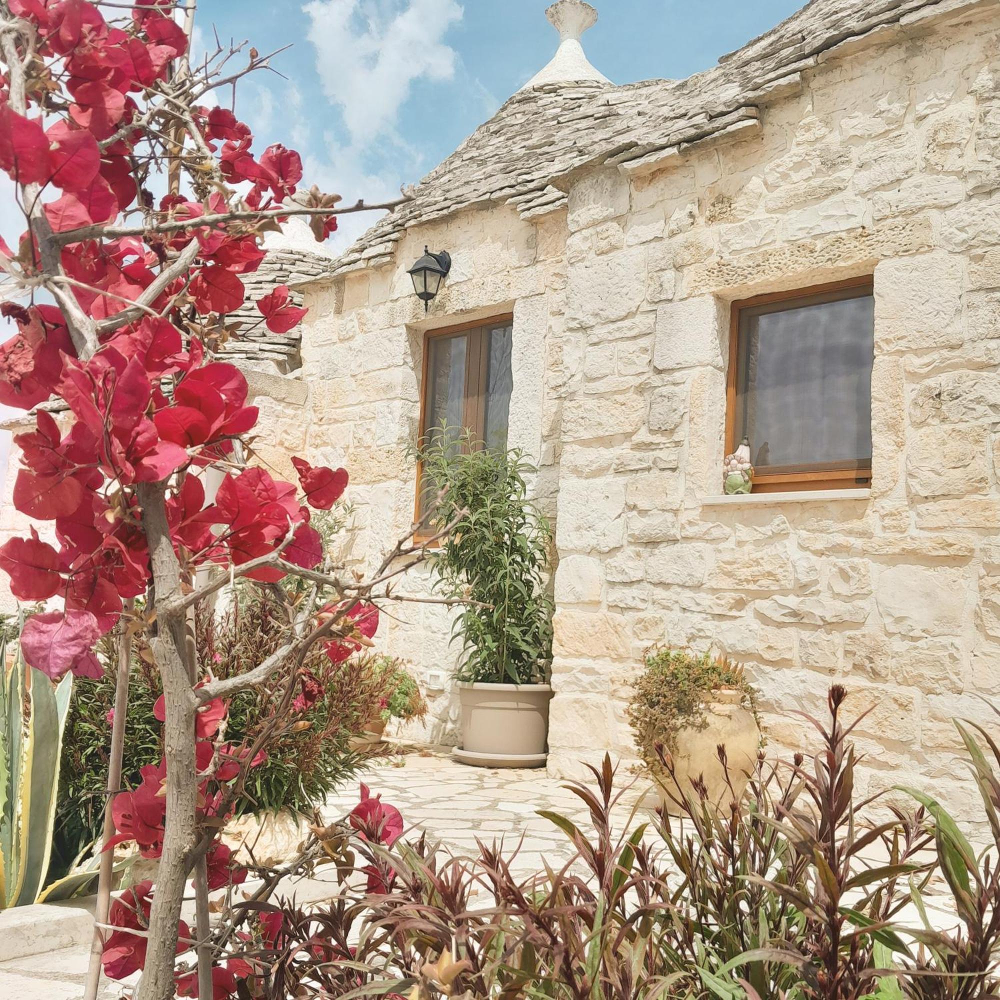 La Rosa Dei Trulli B&B Alberobello Dış mekan fotoğraf