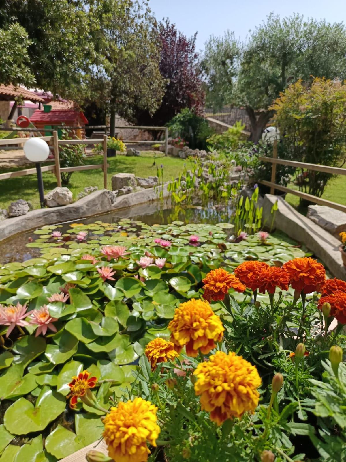 La Rosa Dei Trulli B&B Alberobello Dış mekan fotoğraf