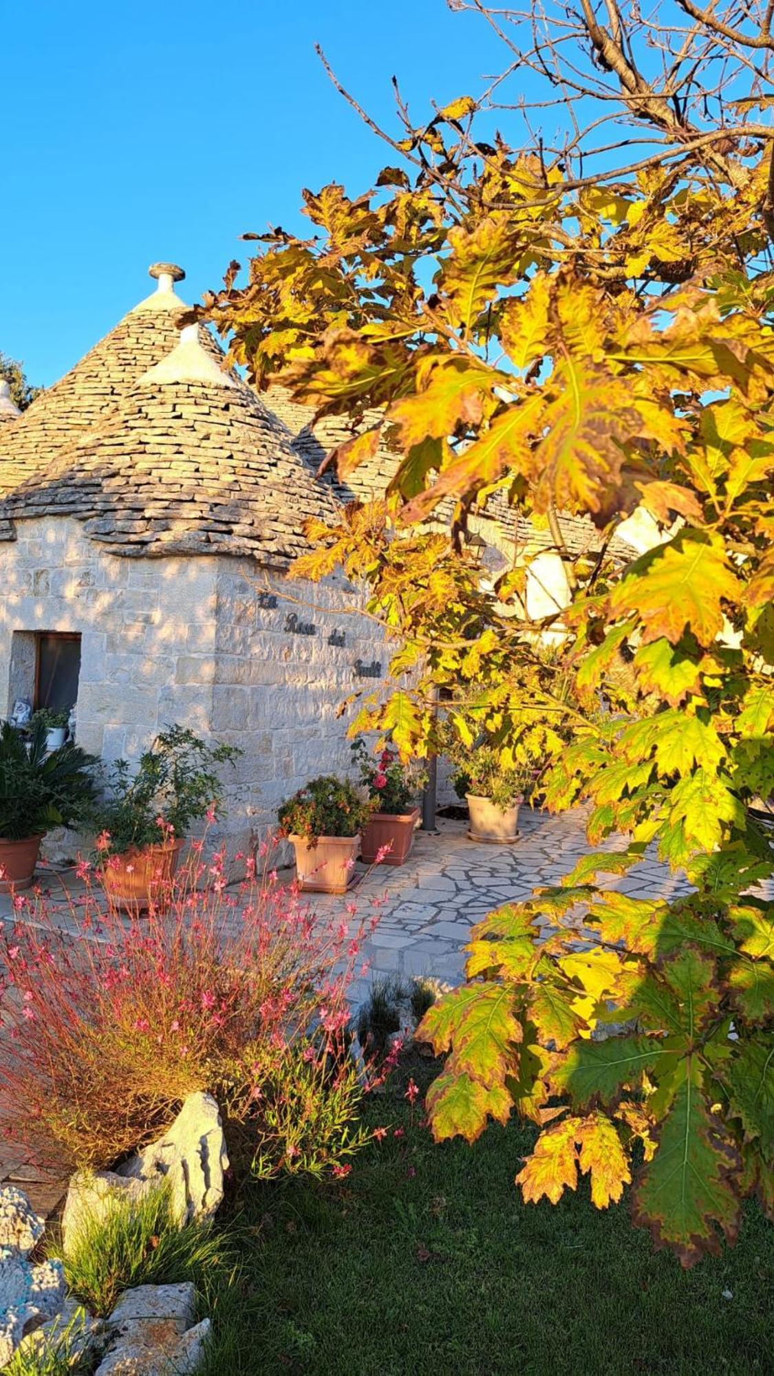 La Rosa Dei Trulli B&B Alberobello Dış mekan fotoğraf