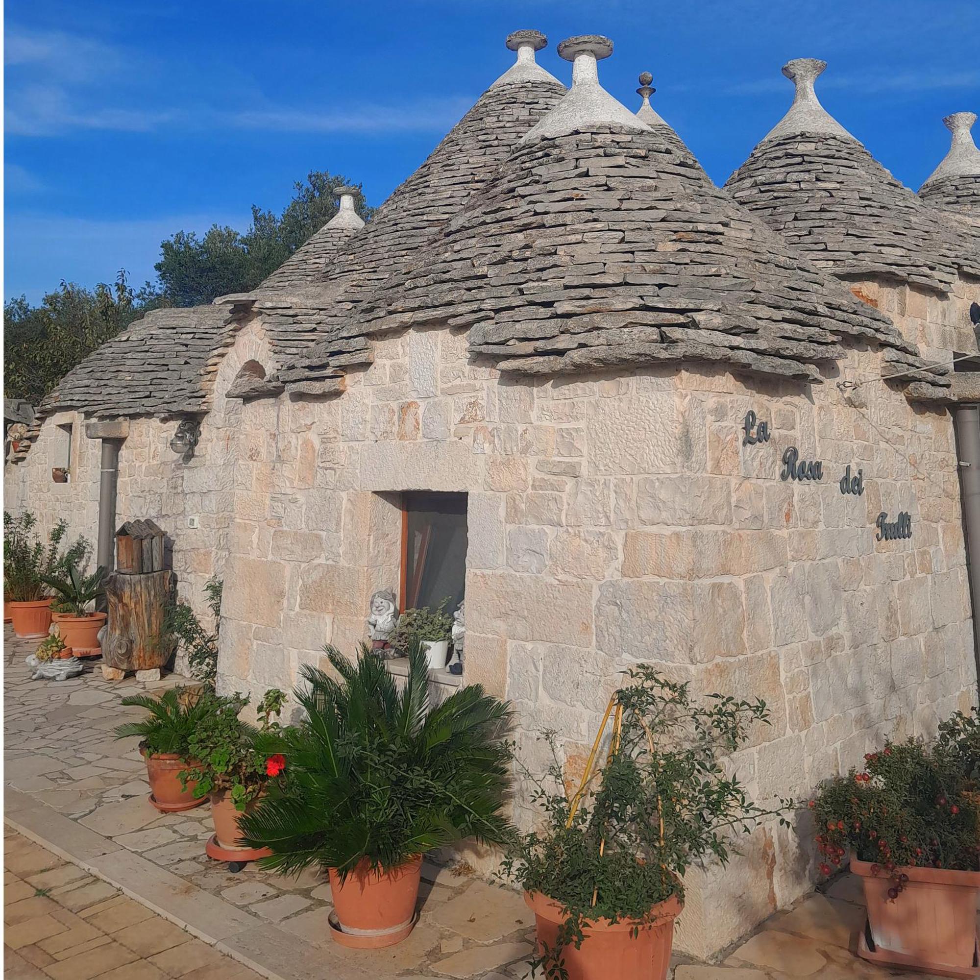 La Rosa Dei Trulli B&B Alberobello Oda fotoğraf