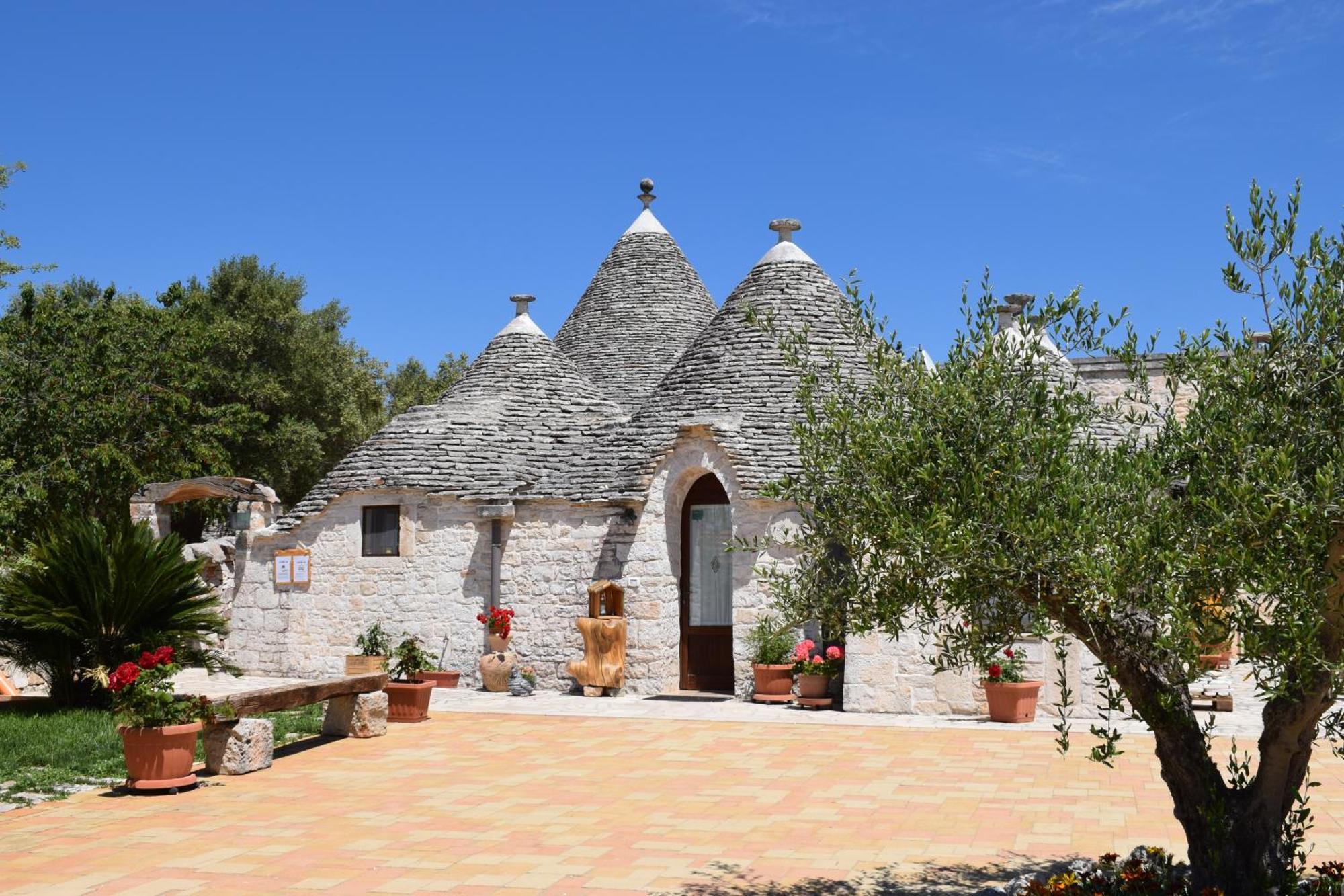 La Rosa Dei Trulli B&B Alberobello Dış mekan fotoğraf