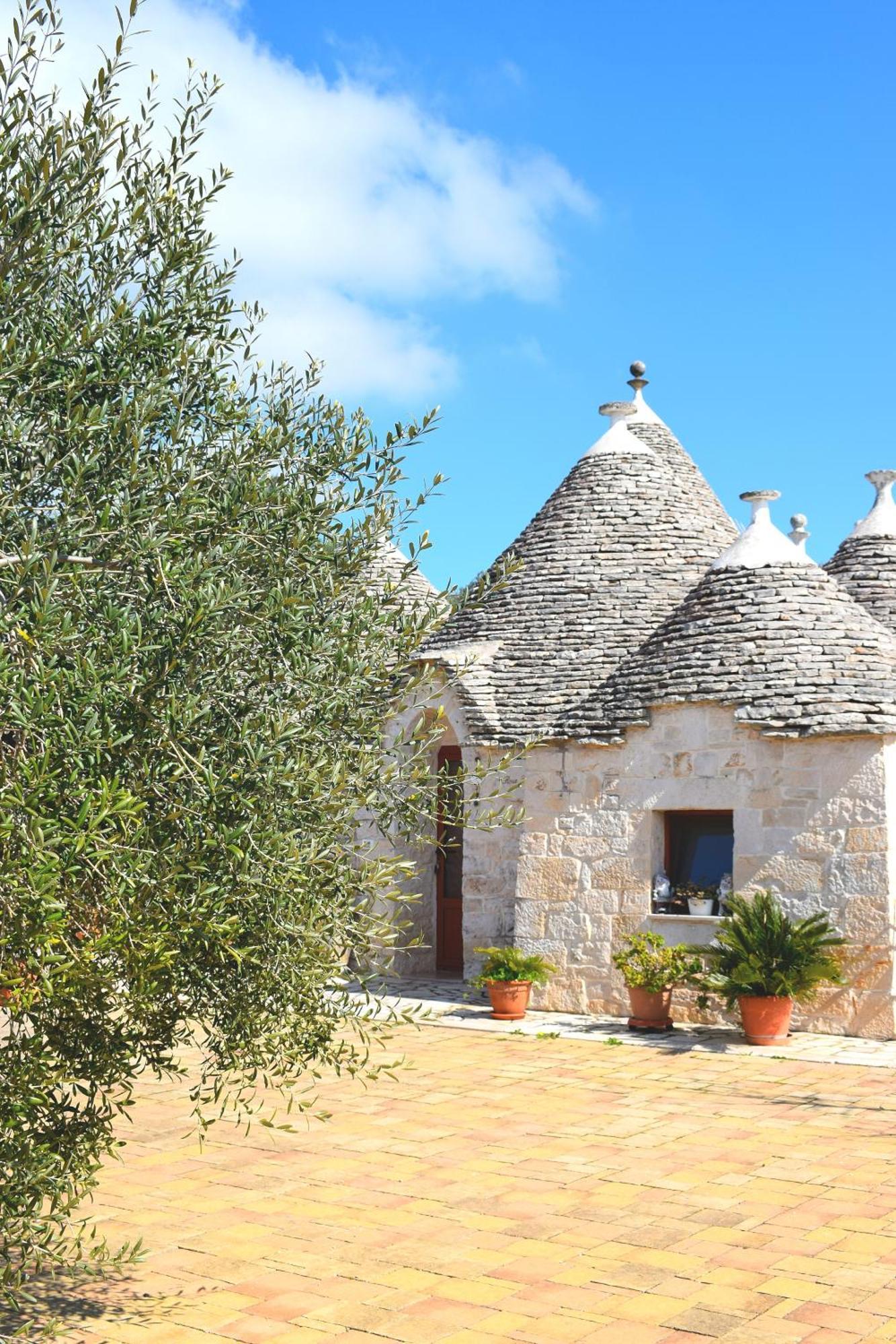 La Rosa Dei Trulli B&B Alberobello Dış mekan fotoğraf