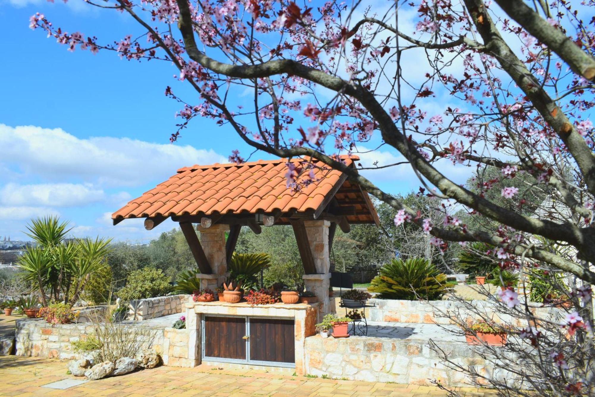 La Rosa Dei Trulli B&B Alberobello Dış mekan fotoğraf