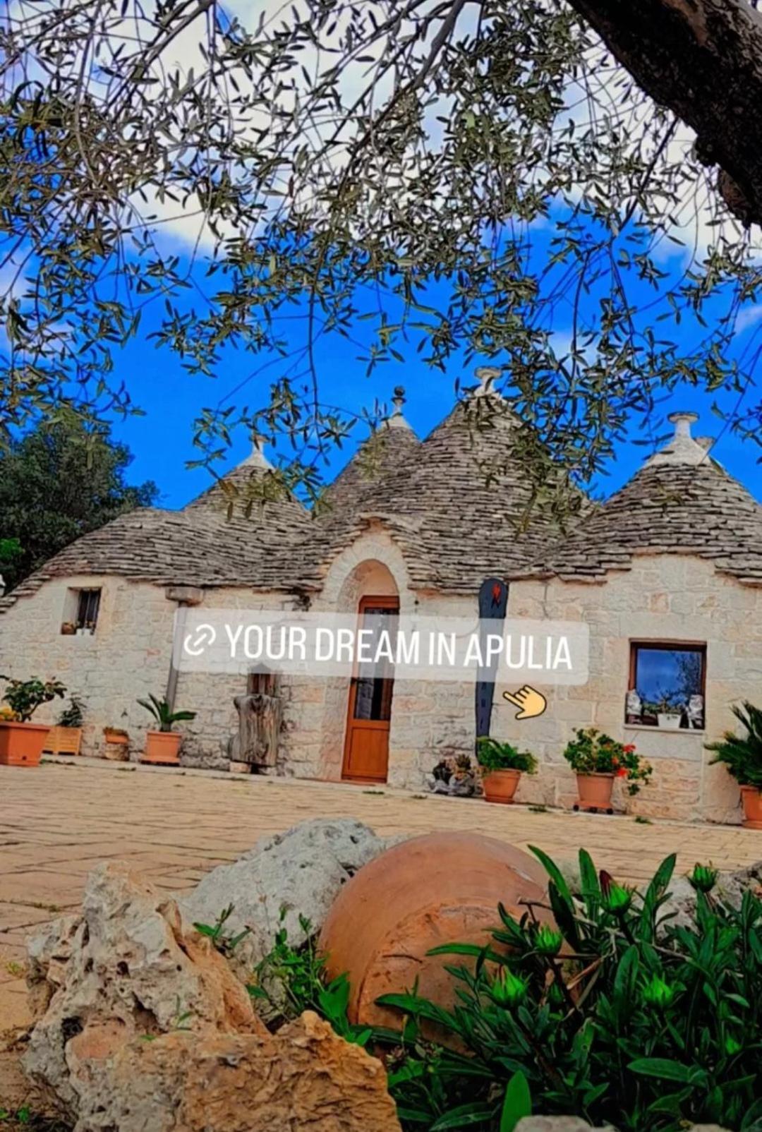 La Rosa Dei Trulli B&B Alberobello Dış mekan fotoğraf
