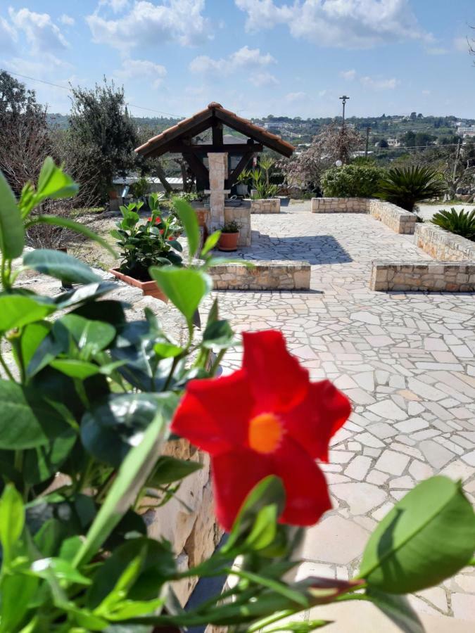 La Rosa Dei Trulli B&B Alberobello Dış mekan fotoğraf