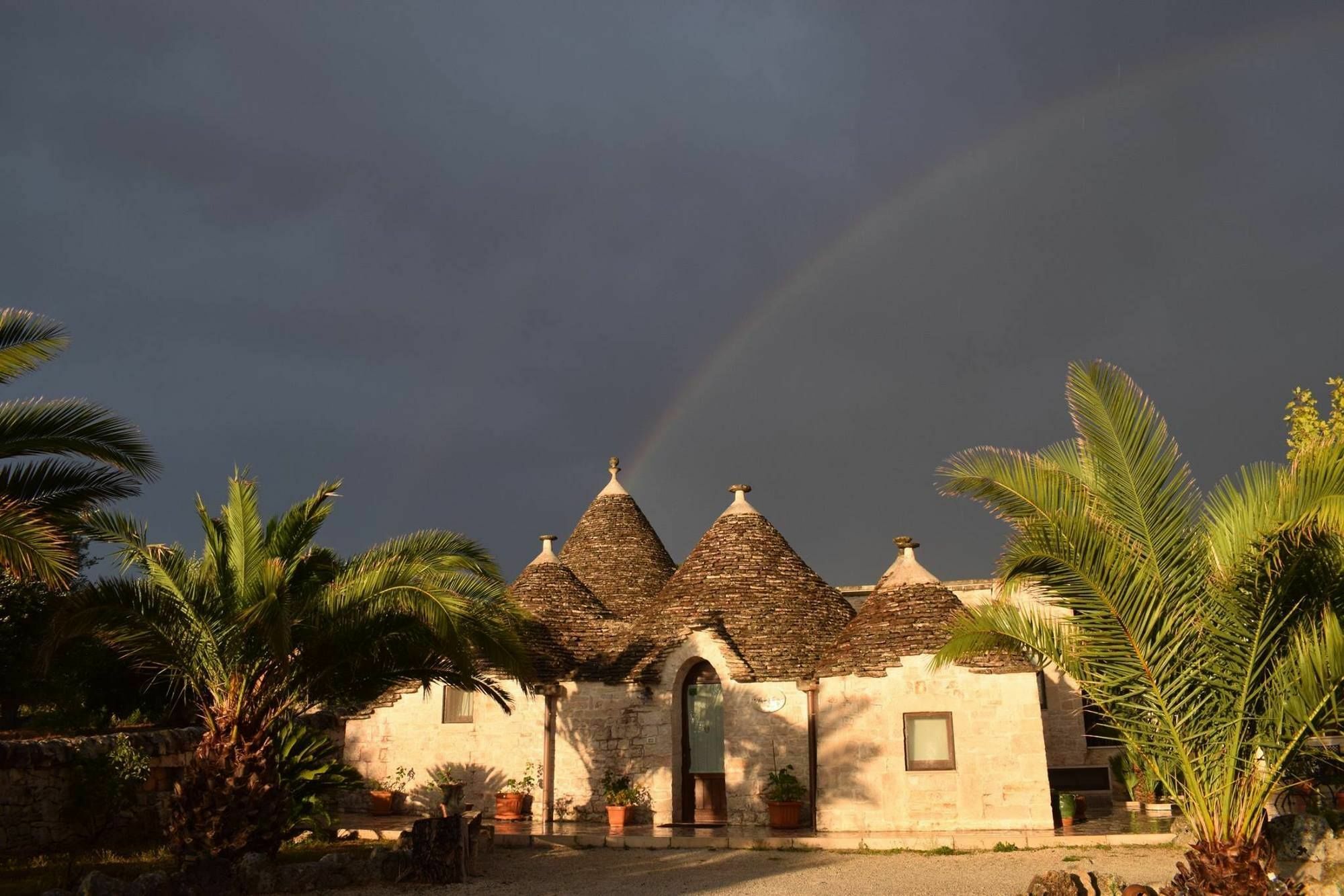 La Rosa Dei Trulli B&B Alberobello Dış mekan fotoğraf